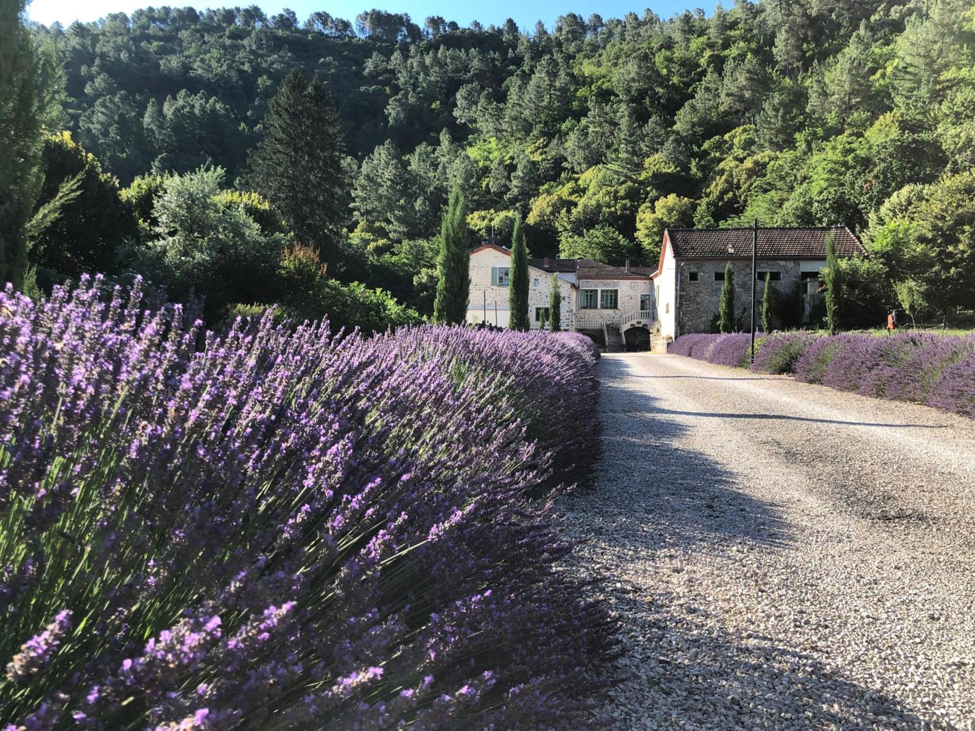 Chateau Du Fraissinet, 6 Gites Sleeping 2-8 Guests, Pool And River On Site La Tronche  ภายนอก รูปภาพ